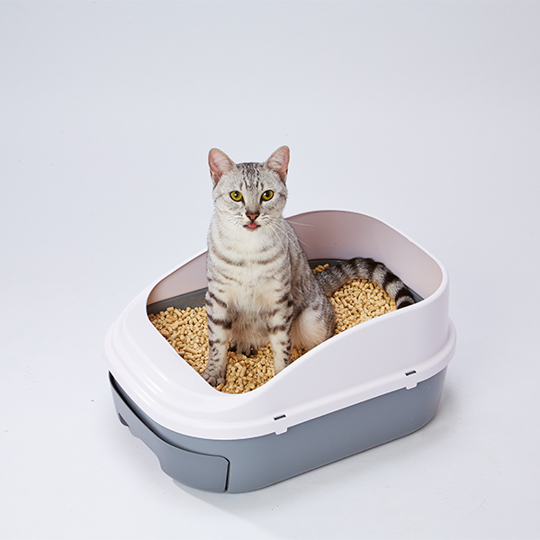 猫砂の利用シーン